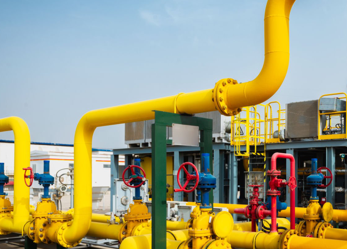 Renewable Integration Initiative